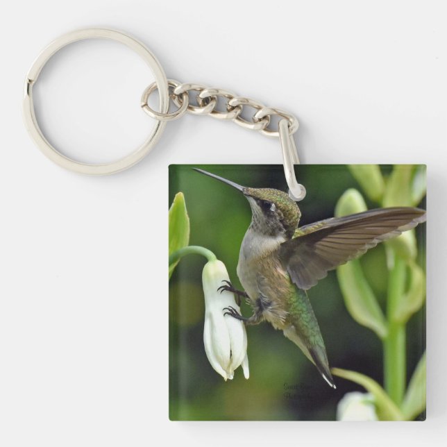 Llavero Colibrí (Frente)
