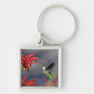 Llavero Colibrí