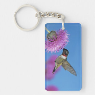 Llavero Colibrí de garganta rubí