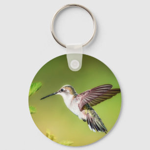 Llavero Colibrí en vuelo