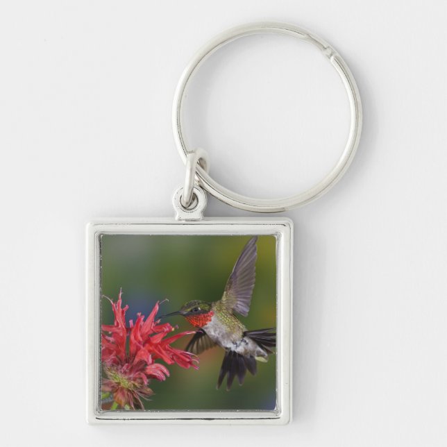 Llavero Colibrí garganta de rubí macho (Frente)