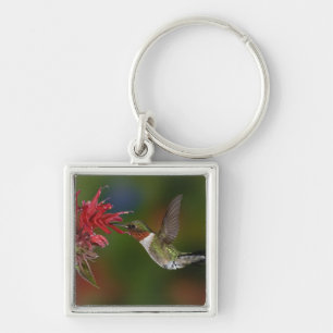 Llavero Colibrí garganta de rubí macho