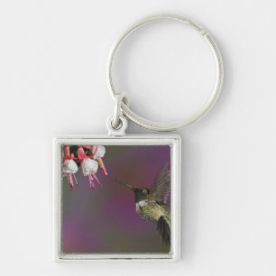 Llavero Colibrí garganta rubí macho
