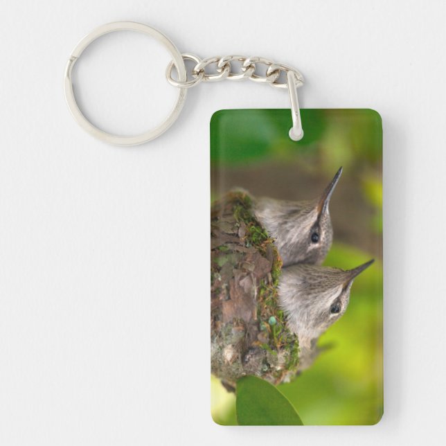 Llavero Colibríes bebés (Frente)