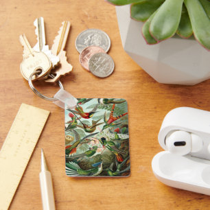 Llavero Colibríes por Ernst Haeckel, Árboles de pájaros vi