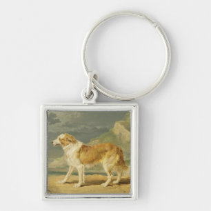 Llavero collie Áspero-revestido, 1809 (aceite a bordo)