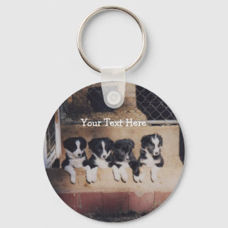 Llavero Collie de borde cachorro cadena de perros