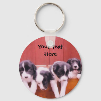 Llavero Collie de borde Cuppies en la cadena de discos