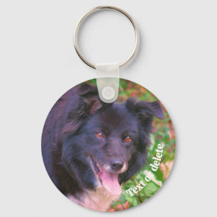 Llavero Collie de frontera sonriente perro lindo personali