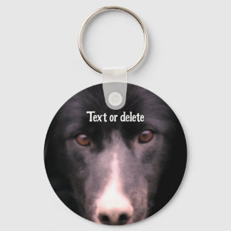 Llavero Collie Frontera Negra Cara Perro Personalizado