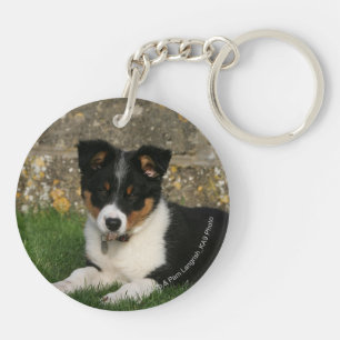 Llavero Collie fronteriza cachorro con hoja en boca