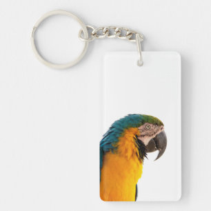 Llavero coloful Parrot 