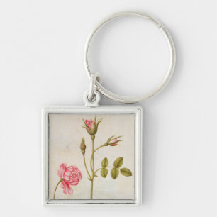 Llavero Color de rosa rosado, c.1568