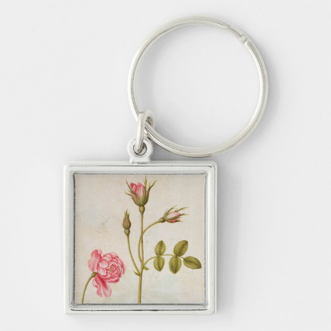 Llavero Color de rosa rosado, c.1568 (Frente)