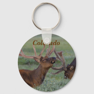 Llavero Colorado Bugling elk key chain