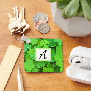 Llavero Colores verdes foto prosperidad Biblia versus inic