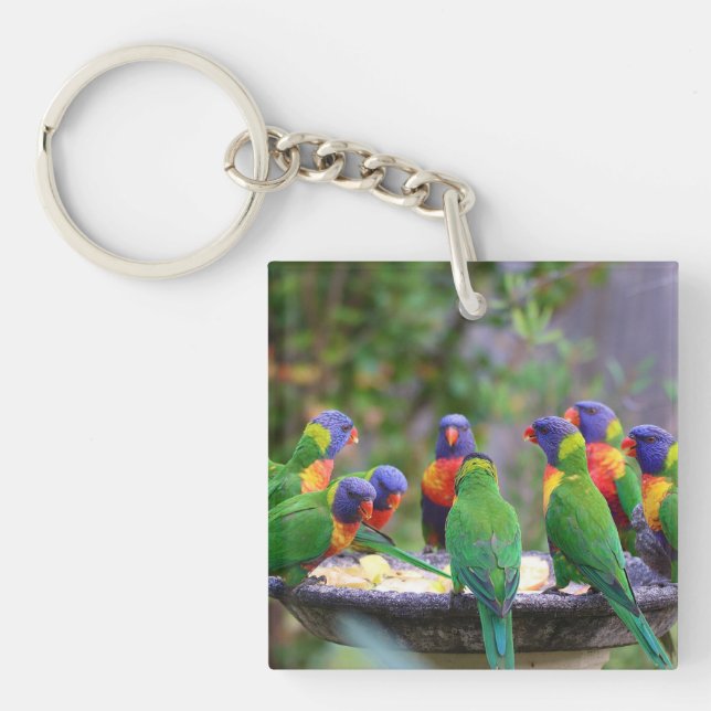 Llavero Colorful Rainbow Lorikeet Parrots Eating (Frente)