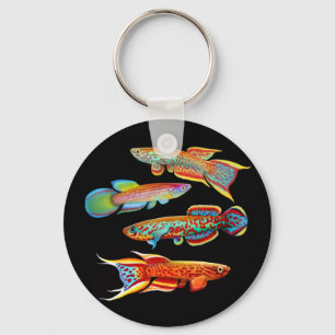 Llavero colorido de los Killifishes