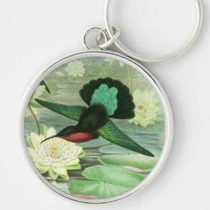 Llavero colorido del llavero del colibrí de Gould