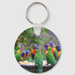Llavero Coloridos loros arcoiris comiendo