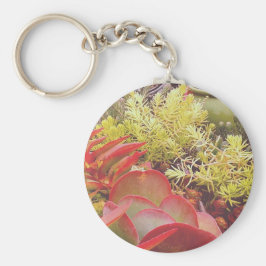 Llavero Coloridos Suculentos