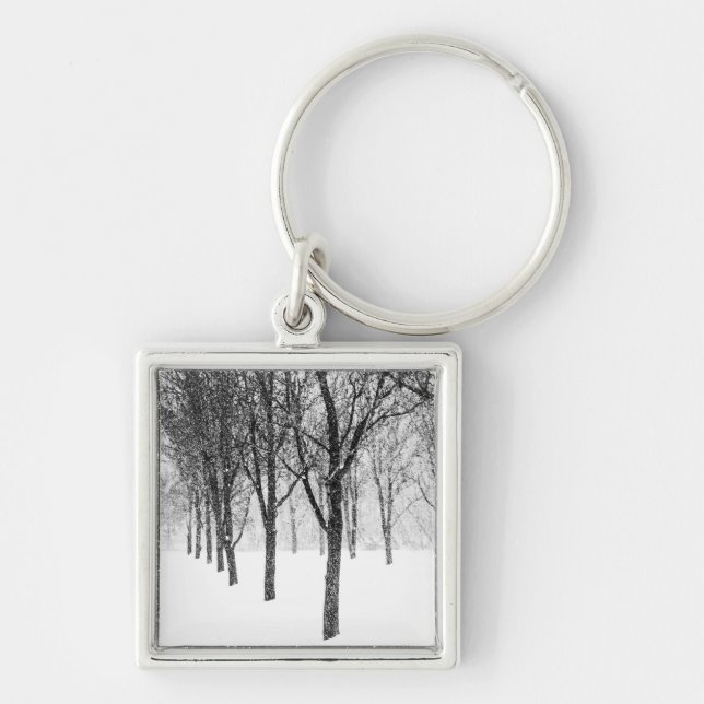 Llavero como si estuviera del lado de los árboles (Frente)