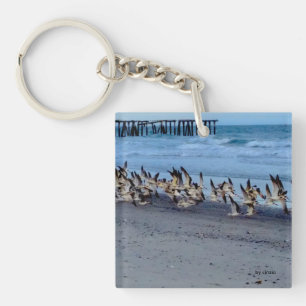 Llavero con la imagen de los pájaros, desnatadora