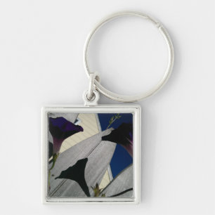 Llavero con las flores Rosado-Púrpuras