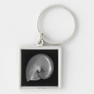 Llavero Concha de nautilus en blanco y negro