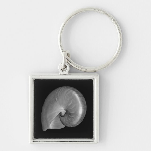 Llavero Concha de nautilus en blanco y negro (Frente)