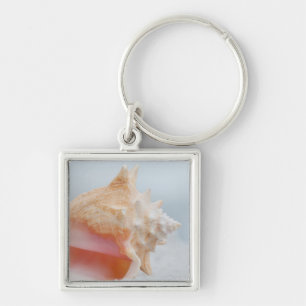 Llavero Concha Shell el   la Florida