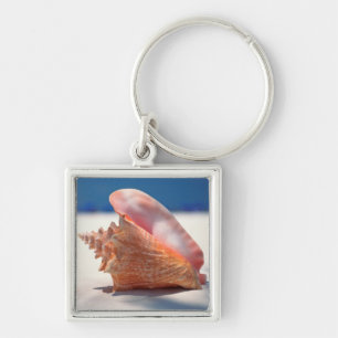 Llavero Concha Shell en la playa 2