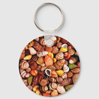 Llavero conchas marinas