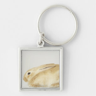 Llavero Conejo de conejito beige en el fondo blanco 4