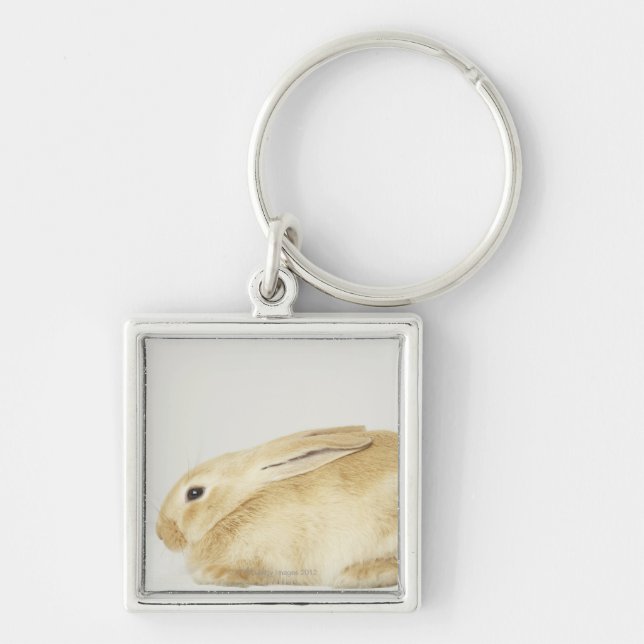 Llavero Conejo de conejito beige en el fondo blanco 4 (Frente)