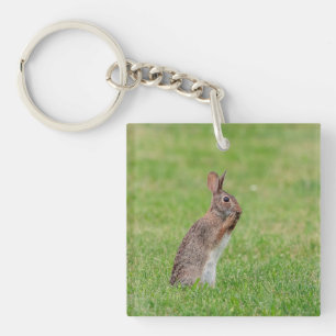 Llavero Conejo parado en el césped y con aspecto tímido
