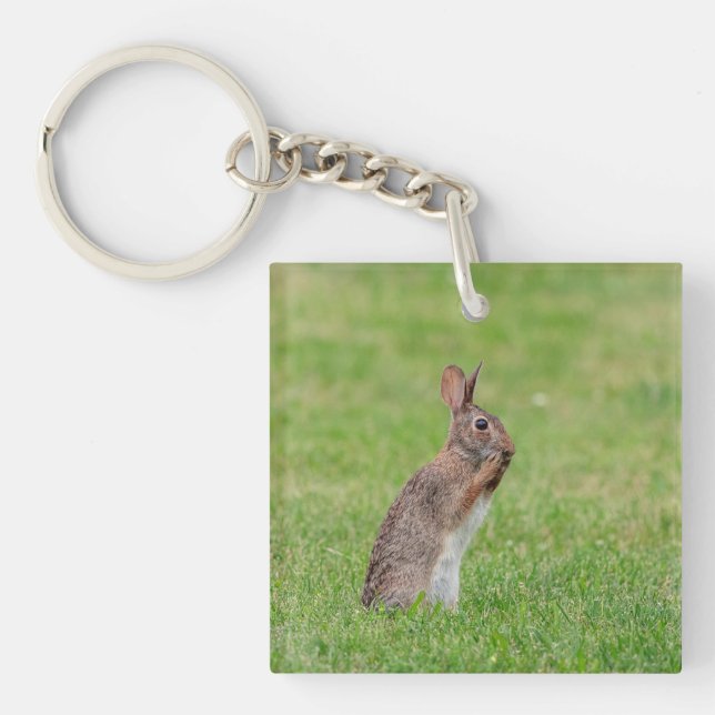 Llavero Conejo parado en el césped y con aspecto tímido (Frente)