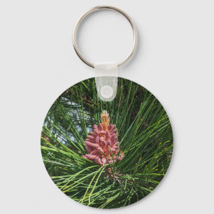 Llavero Cono de polen de pino rojo (Pinus resinosa)