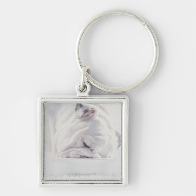 Llavero Consumición del bulldog (Frente)