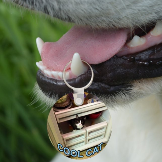 Llavero Cool Cat keychain (Subido por el creador)