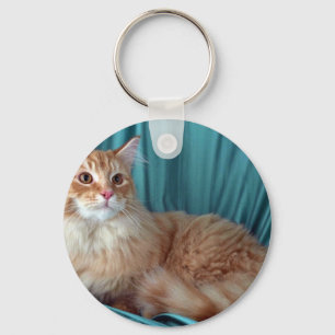 Llavero Coon de Maine, tabby rojo