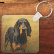 Coonhound negro y fuego
