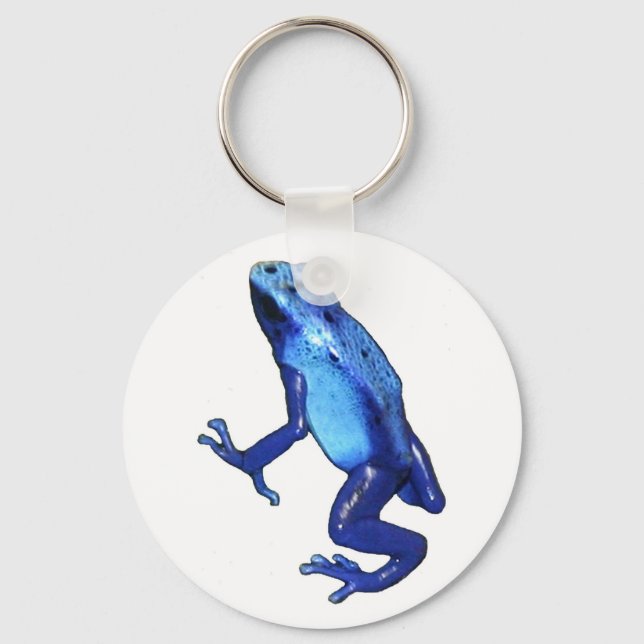 Llavero copia de rana azul (Anverso)