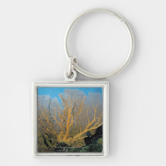 Llavero Coral de Gorgonian (Frente)