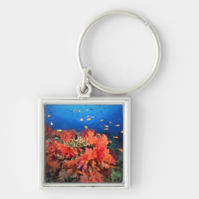 Llavero Coral y pescados (Frente)