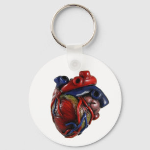Llavero Corazón anatómico