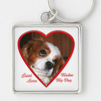 Corazón del amor de Cavi