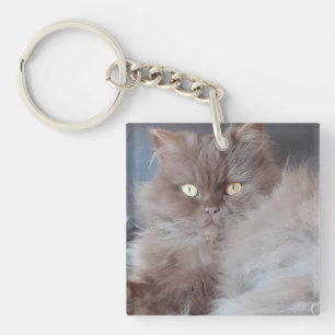 Llavero Cordón de la llave acrílica del gato