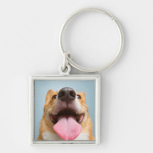 Llavero Corgi muy feliz de las imágenes el de Getty