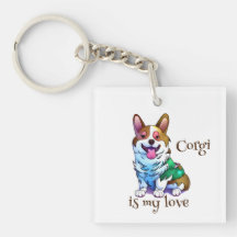 Corgi Naranja lindo para un ánimo positivo